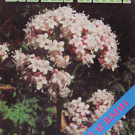 Концентрат (соль) для ванн 500грамм