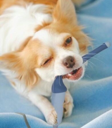 Ремонт УЗИ датчиков