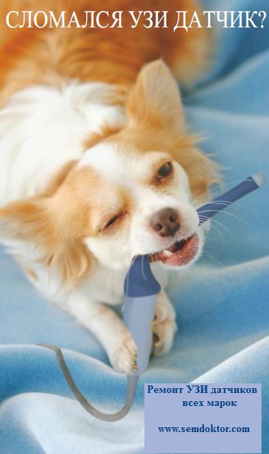 Ремонт УЗИ датчиков