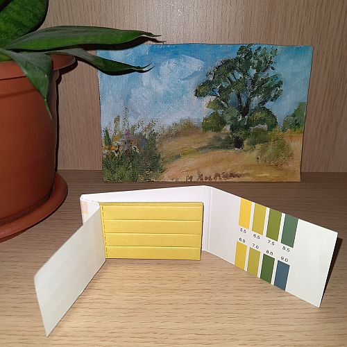 Тест полоски для тестирования и определения PH 80штук